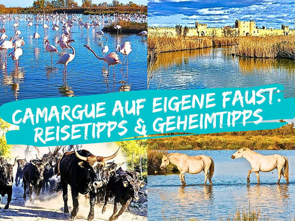 Camargue Sehenswürdigkeiten, Geheimtipps & schönste Orte [Frankreich Blog]