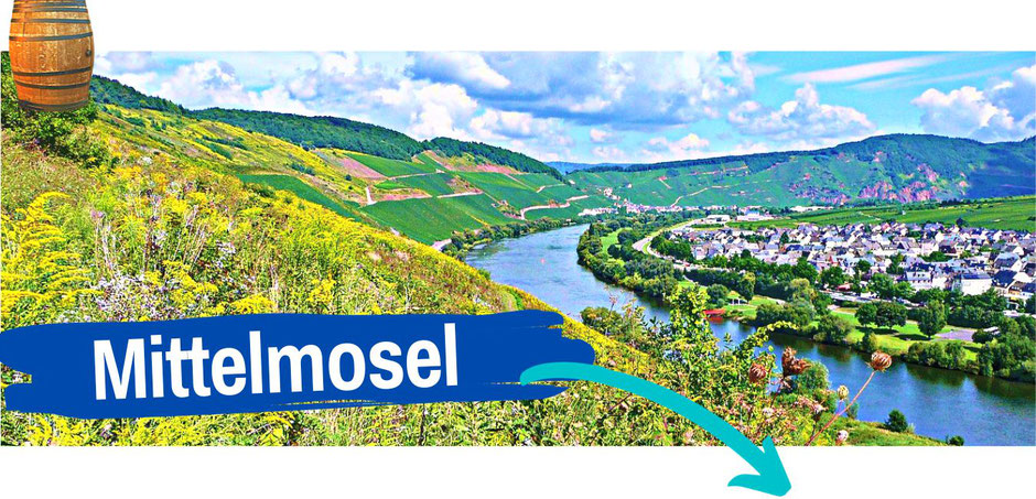 wo an Mosel übernachten Unterkünfte Weingut Hotel