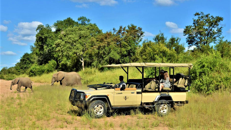 Krüger Nationalpark Lodges & Camps: Safarifahrt im offenen Geländewagen in der Imbali Lodge