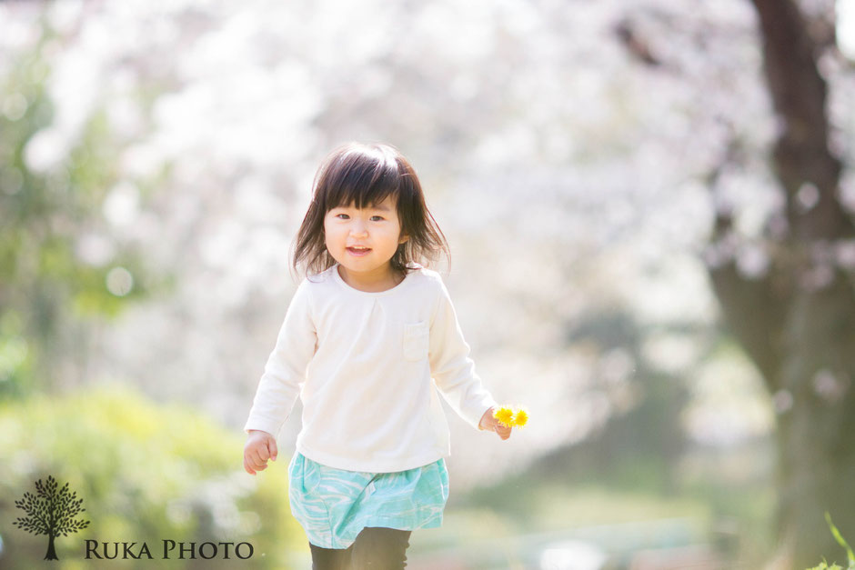 王子公園撮影