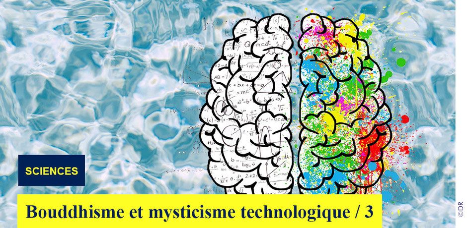 Bouddhisme et mysticisme technologique - La vie contemplative sous l'œil des neurosciences