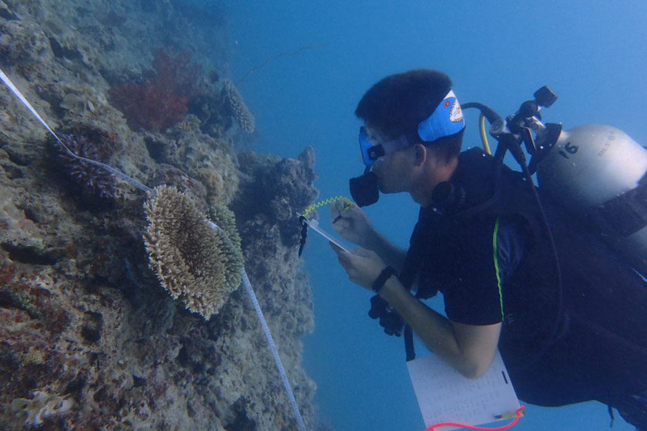 Marine life Conservation Thailand Volunteers