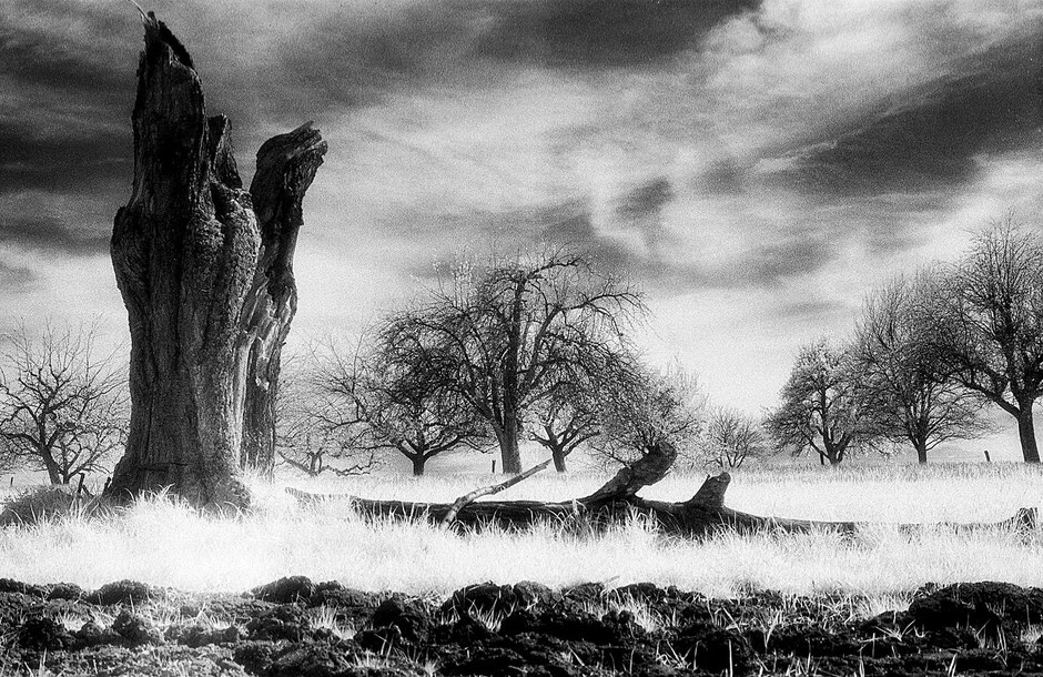 Landschaftaufnahme mit Infrarotfilm aus Lörrach-Brombach by Martin Boelt Landscape Photography