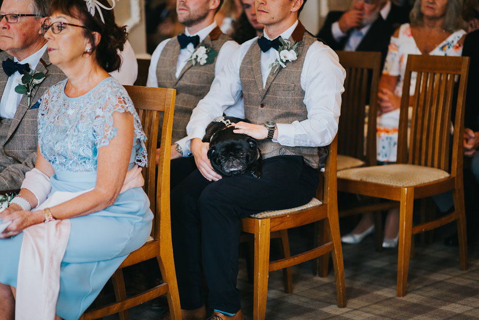 a black pug sat on a groomsmans knee during a wedding ceremony