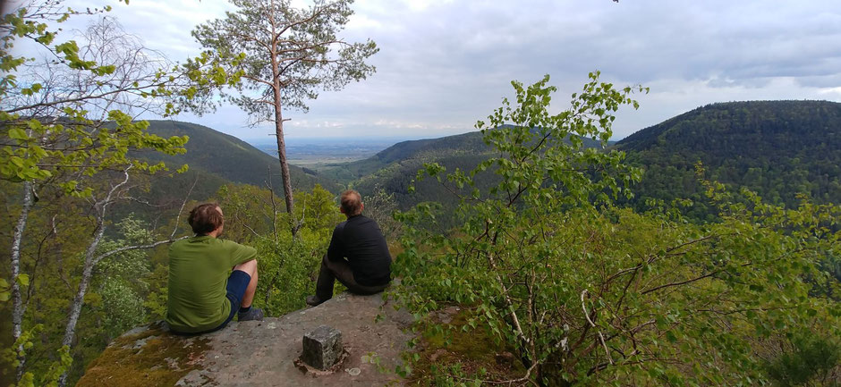 Die Trekkingplätze des Pfälzer Waldes sind ein Traum zum Biwakieren