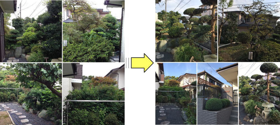 鎌倉市の由緒ある個人邸の剪定作業依頼