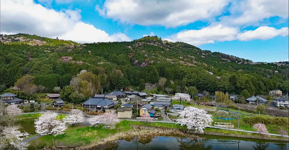 2021年3月29日撮影　山根池といわま愛宕山