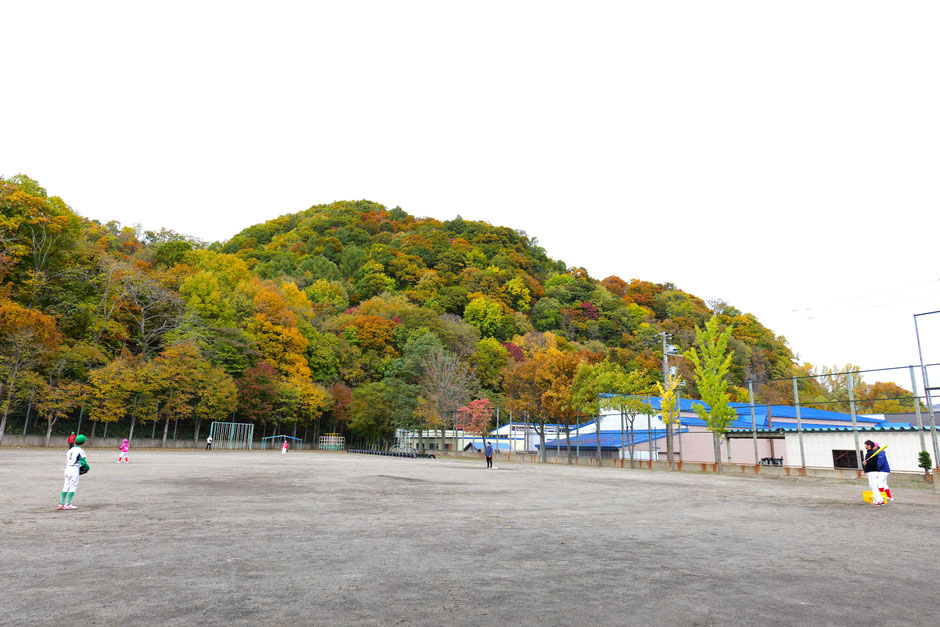 グラウンドから見える木々の紅葉はまもなく見頃を迎えようとしていた