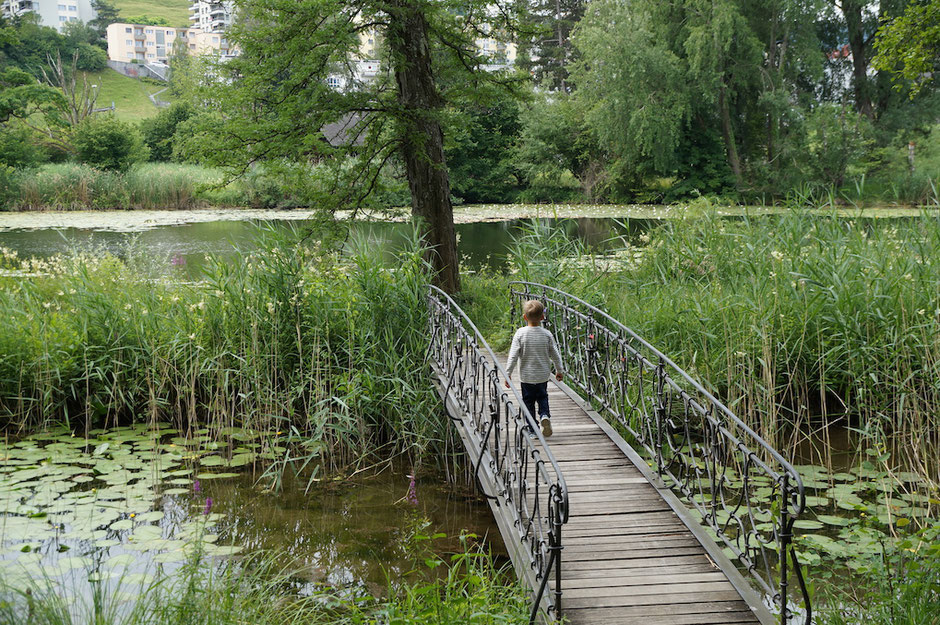 Wohin geht der Weg für die Kinder der neuen Generation? Im Schul- und Bildungssystem muss sich grundlegend etwas verändern!