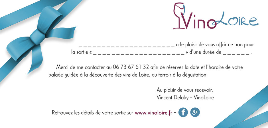 VinoLoire - Vincent Delaby - Carte cadeau de Noël pour une visite accompagnée des vignobles du Val de Loire