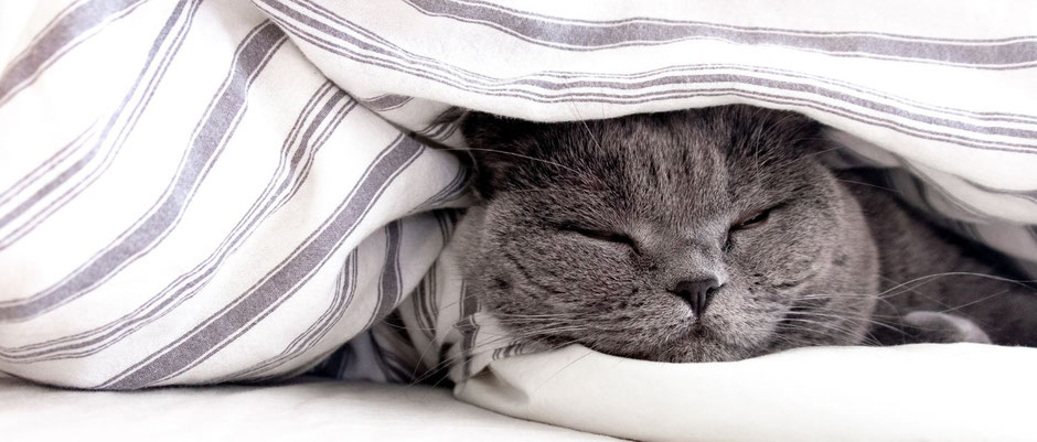 La méditation pour bien ou mieux dormir : comment elle améliore le sommeil