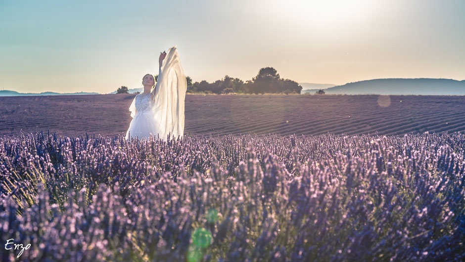 Photo d'une jeune mariée dans un champs de lavande à Valensole en Provence