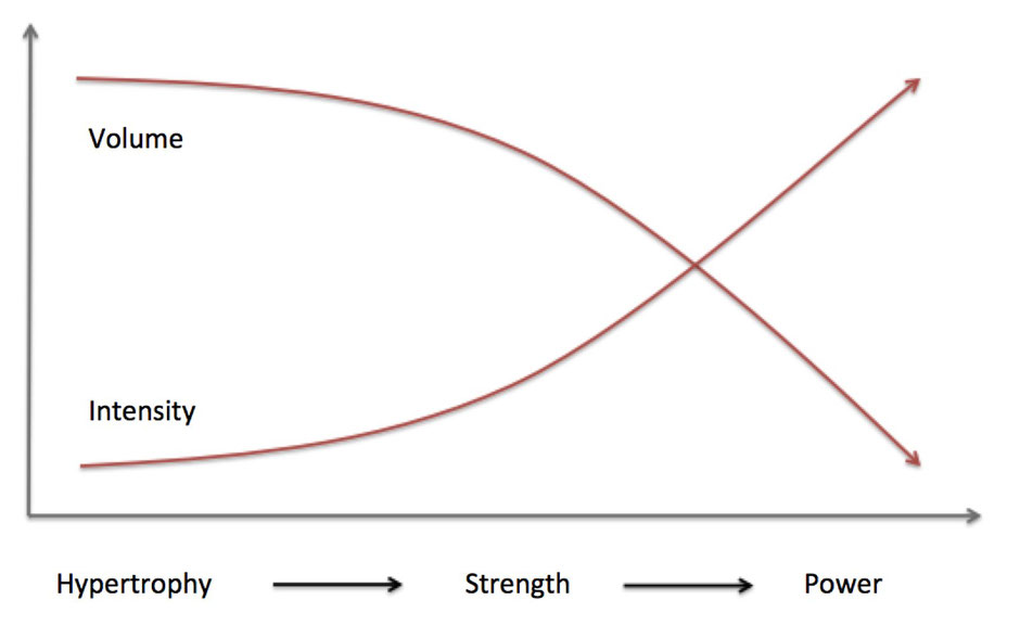 DUP Daily Undulating Periodization Krafttraining Fitness Hypertrophie