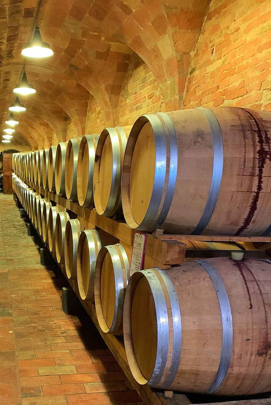 Wine cellar with pink brick arches filled with large wine barrels. During the open winery days it is a joy to visit different wineries from your holiday accommodation Vecchi Maestri B&B in San Pietro, Ancona, Italy. Adults only holiday apartments. 