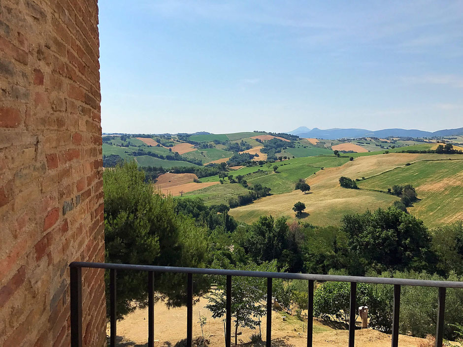 View of the green and golden fields in the hills of Le Marche from the village of Loretello. Within walking distance from Vecchi Maestri B&B, luxury adults only holiday apartments with swimming pool and professional gym. Instagramworthy place in Italy.