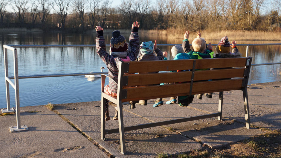 The bench by the pond