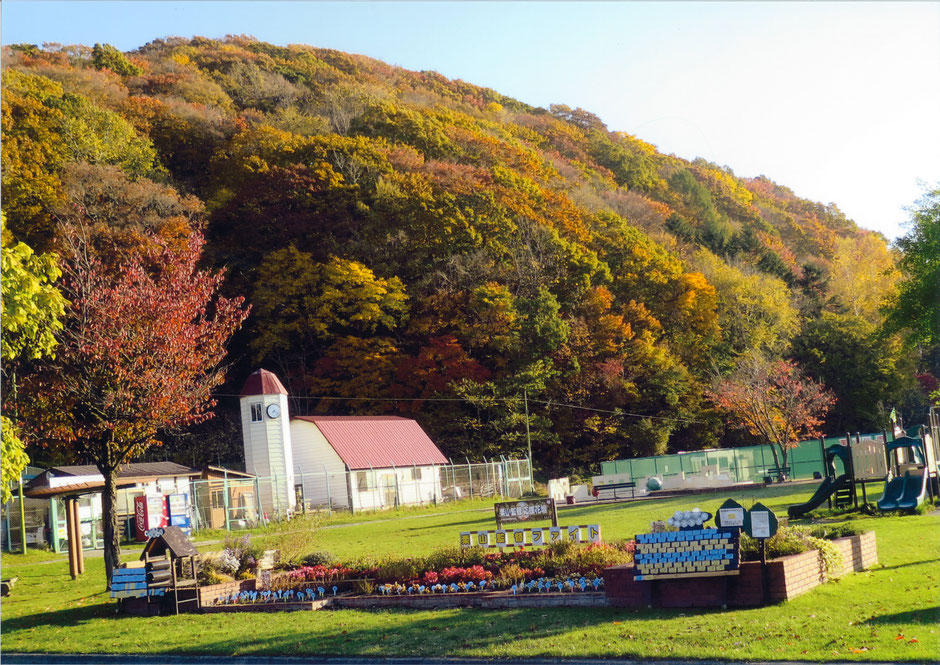 栗山町　紅葉