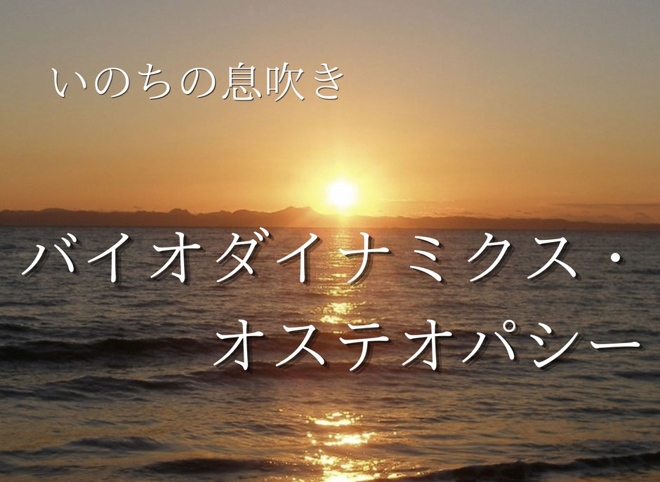 いのちの息吹　バイオダイナミクス・オステオパシー