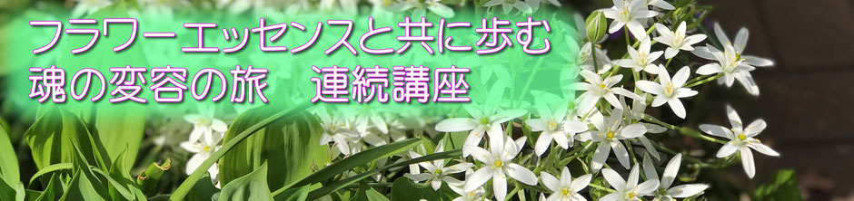 フラワーエッセンスと共に歩む魂の変容の旅　連続講座
