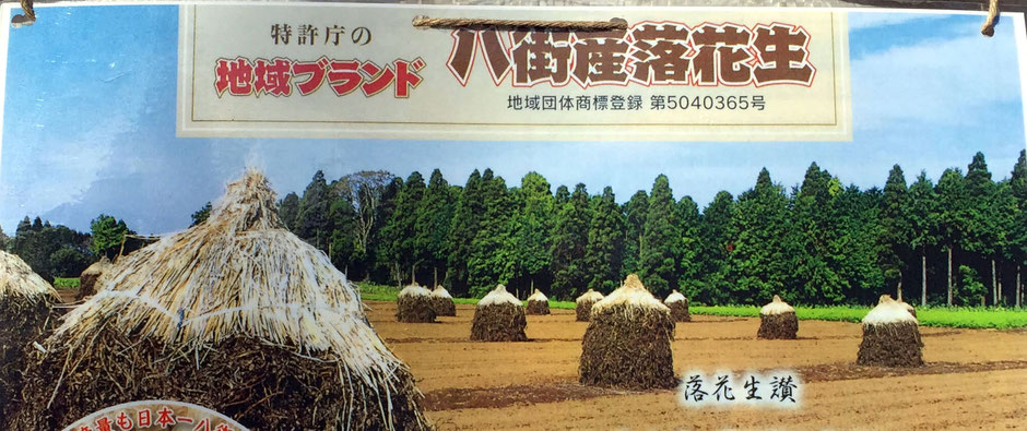 「東京朝市・アースデイマーケット」(代々木公園けやき並木)で出会った、やちまたよしくら、代表の木村由希子さんです。