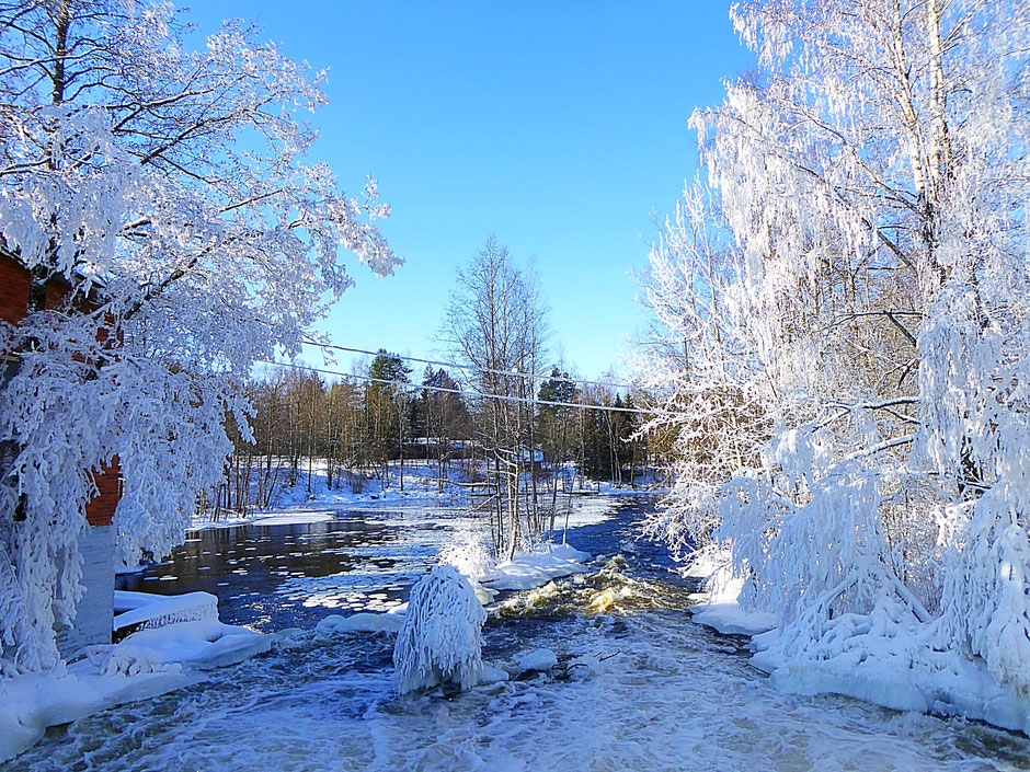 Schon mal im Winter in polaren Gefilden in einem solchen Panorama am Fluss geangelt?  In Sysmä Virtaa ab Januar möglich. Flußabschnitt am Wehr, der nie zufriert