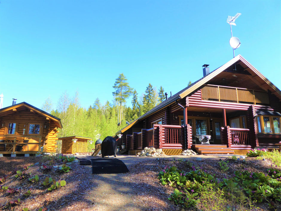 Logwood home and logwood sauna