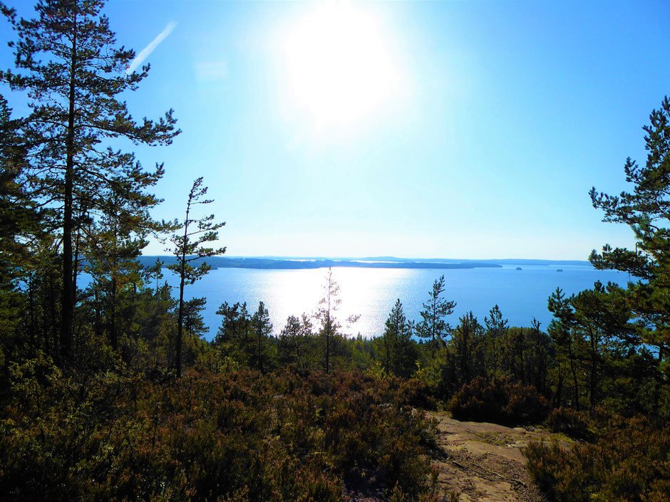 Päijänne See Sommer Panorama