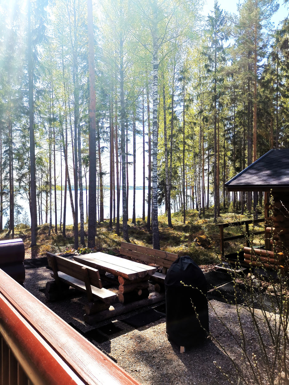 Sauna See Wald