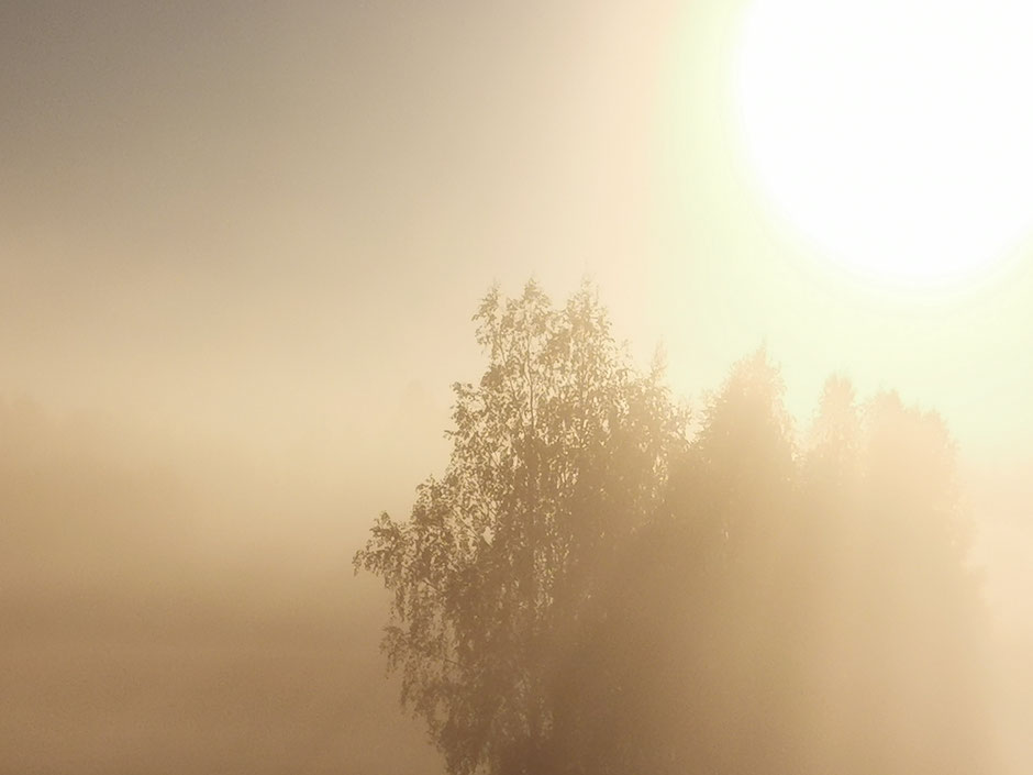 Herbst Nebel  Finnland Sonnenaufgang