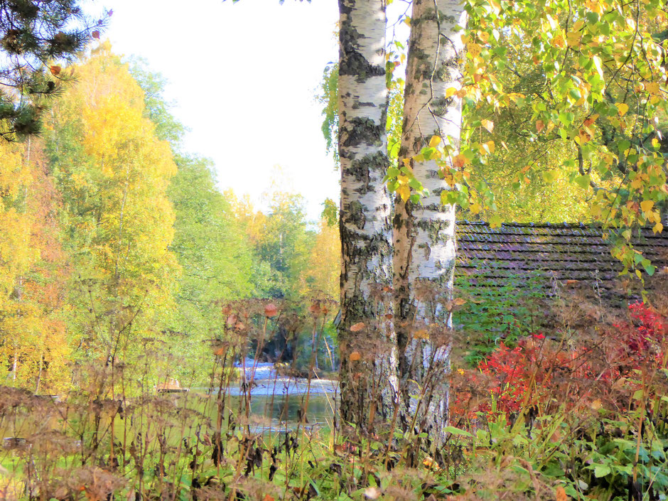 Herbst Finnland Wanderung am Fluss