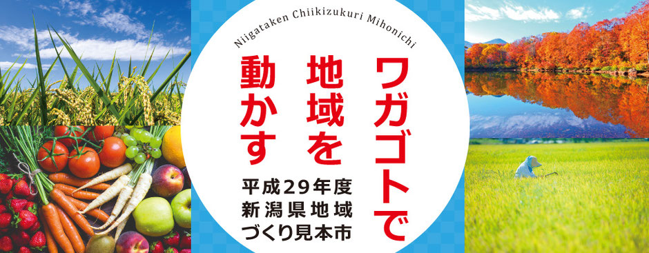 平成29年度新潟県地域づくり見本市 ～ワガゴトで地域を動かす～