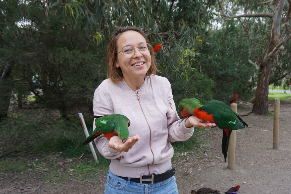 Australien, Sunnybee, Reiseblog, Roadtrip, Papagei, highlight, sabine bullerjahn, travel