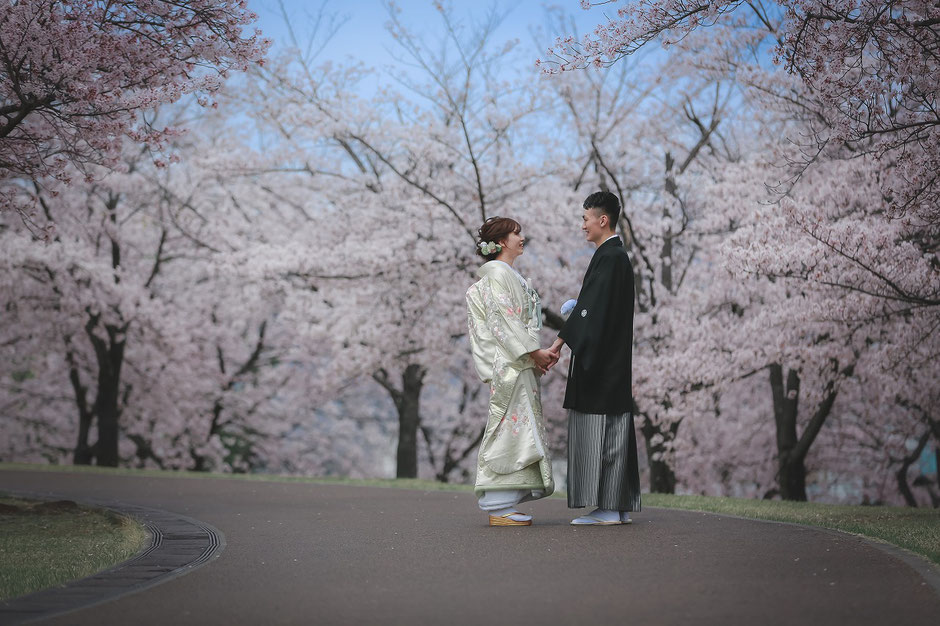 満開の桜の下でフォトウェディング和装前撮りを撮影するお2人