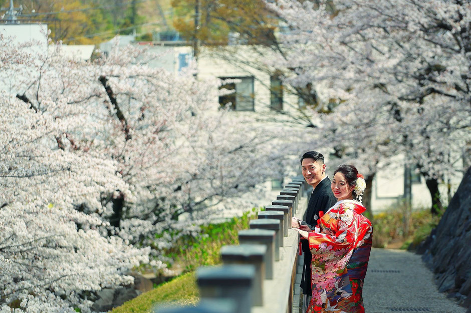 山梨県甲府市舞鶴城の桜で和装前撮り、フォトウェディングを楽しむ新郎新婦様