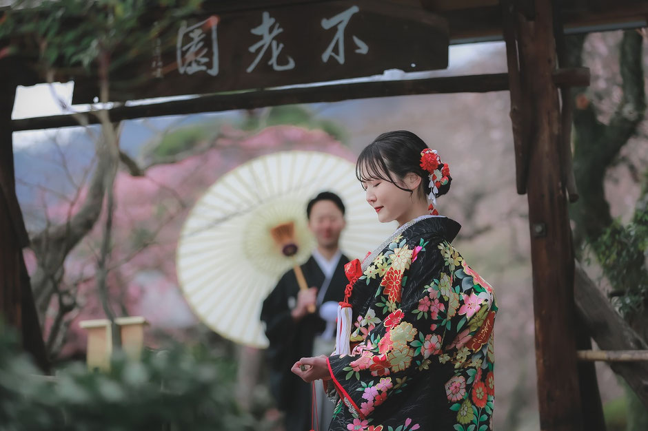 甲府不老園にて梅背景に和装前撮り撮影を行う新郎新婦様
