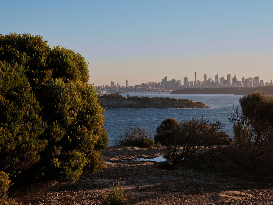 trip to manly