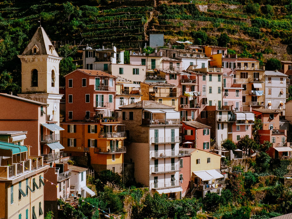 The Vineyard Walk is a must-do in Manarola