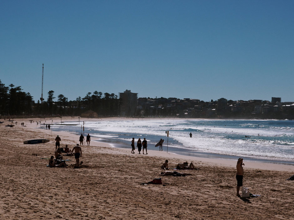 trip to manly