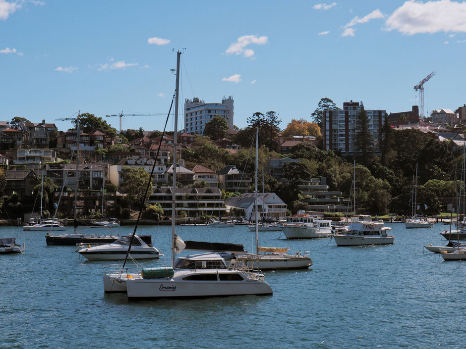 Sydney, Boats, Harbour, Lavender Bay