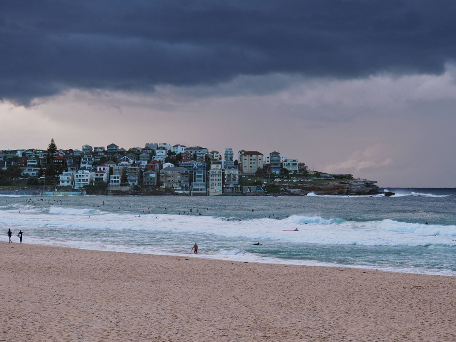 Bondi to Bronte Coastal Walk, Bondi Beach, Surf, Surfer, Surfers