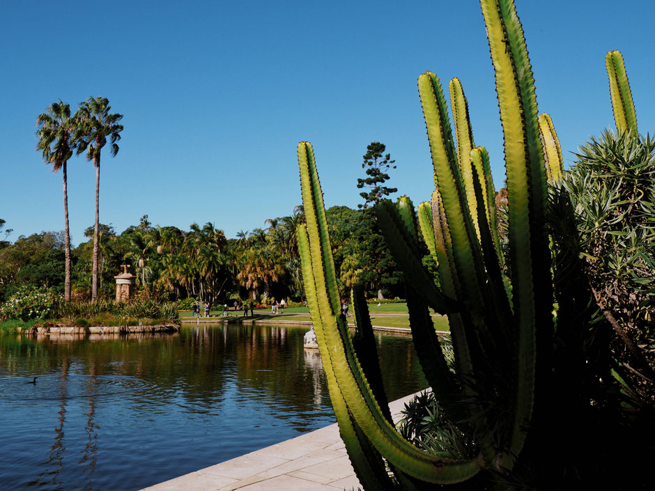 Sydney, Australia, Royal Botanic Garden