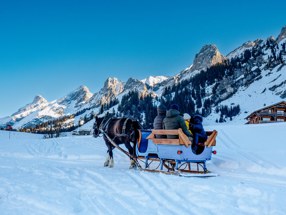 Les Confins, Lac des Confins, Horse-drawn carriage, La Clusaz, Aravis massif, Massif des Aravis, Haute-Savoie, France, Alpes, French Alps, Mountains, Montagnes