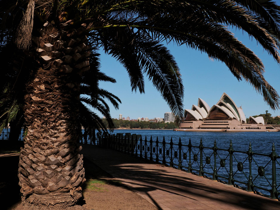 Sydney, Australia, Architecture, Sydney Harbour Bridge, Harbour Bridge, Circular Quay, Milsons Point, Harbour, Opera House, Sydney Opera House