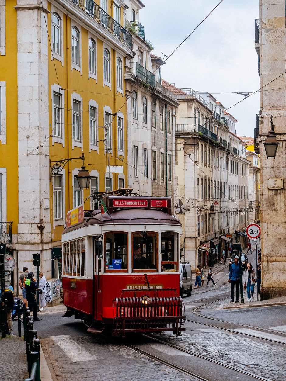 The trams are a defining feature, winding through the city