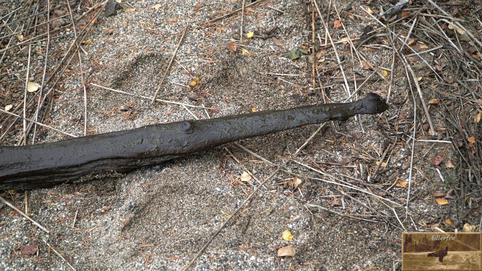 Strandgut am herbstlichen See (entdeckt und aus dem See gezogen von Stefanie)