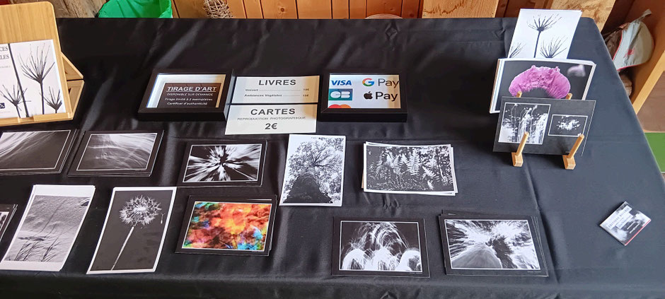 reproductions-photo-nature-noir-et-blanc