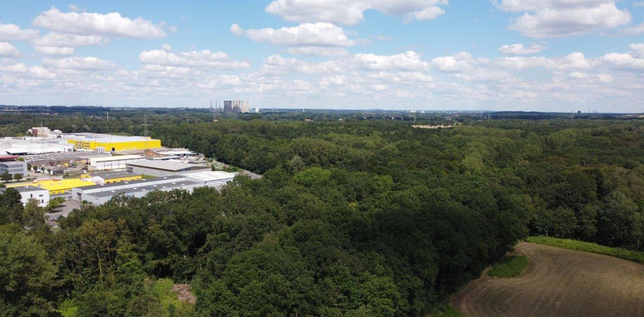 Der Romberger Wald ist seit jeher ein beliebtes Naherholungsgebiet für die Rünther Bevölkerung. (Drohnenfoto: Manuel Izdebski)