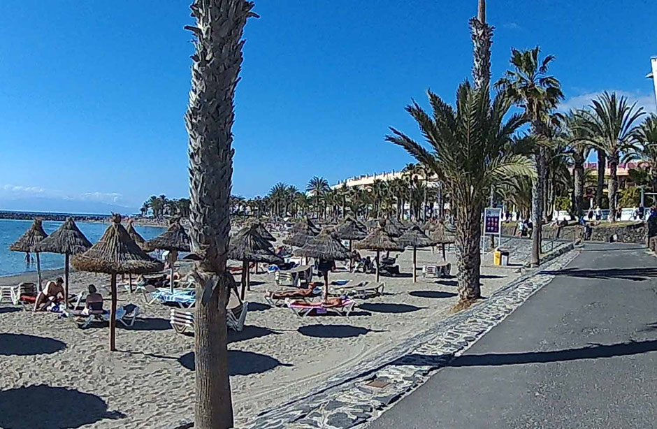 Las Americans, Katamaran Lagoon 42, Charter Kanaren, Teneriffa, Katamaran Teneriffa, Mitsegel Kanaren, Hochseesegeln Kanaren, Charter Kanaren, Segelurlaub, Segelurlaub Karanen, Segelereise Kanaren, Katamaran Lagoon 42, Yachtcharter Kanaren