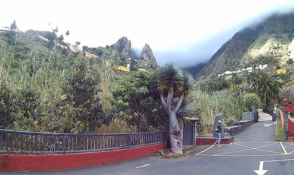 La Gomera, San Pedro, Hochseesegeln, Hochseesegeln Mittelmeer, Hochseesegeln Atlantik, Charter, Charter Kanaren, Segelurlaub Kanaren, Segelreise Kanaren, Katamarantraining Kanaren, Katamaran Lagoon 42, Skippertraining Katamaran Kanaren, Mitsegeln