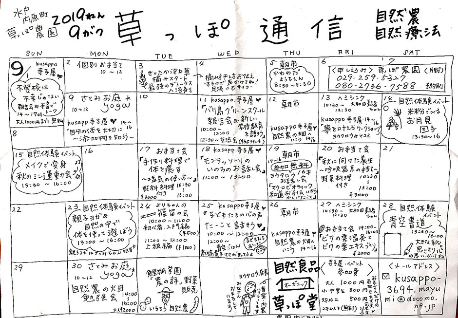 ビワの葉療法のすべて 難病を癒す医者知らずの家庭療法 自然療法
